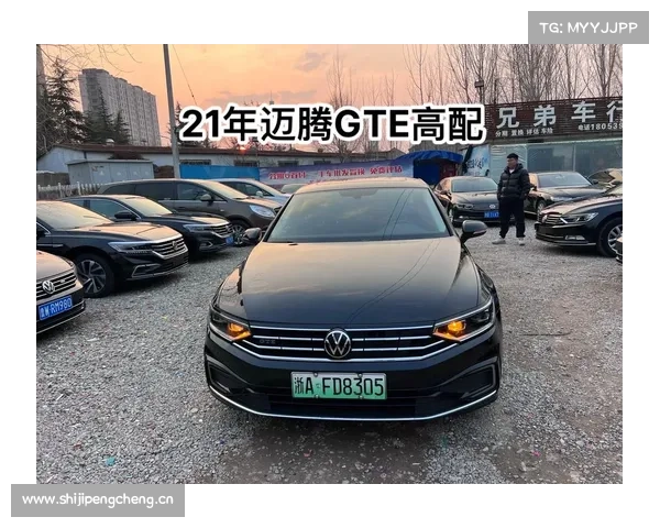 临沂男子购一汽迈腾车漆脱落 车主怀疑非新车